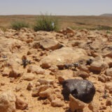 Ksar Daghara 002 in-situ