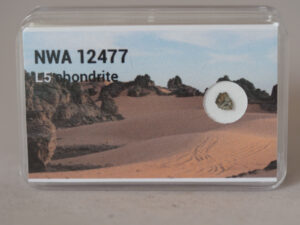 NWA 12477 (L5) - 0.029g fragment