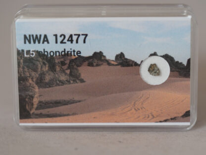 NWA 12477 (L5) - 0.029g fragment