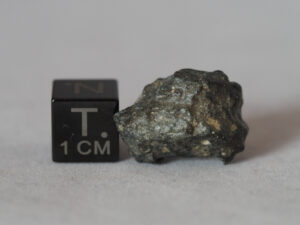 NWA 11788 (lunar) - 3.52g individual