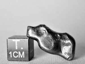 Sikhote-Alin (iron, IIAB) - 6.6g individual