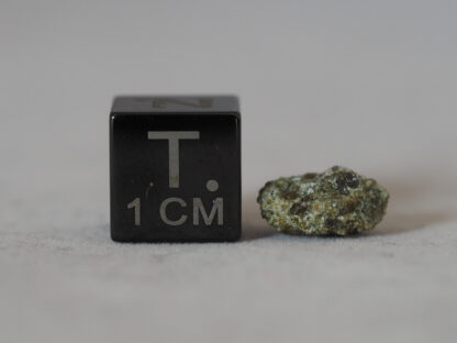 nwa 6704 ungrouped achondrite meteorite