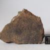 al haggounia 001 melt chondrite meteorite