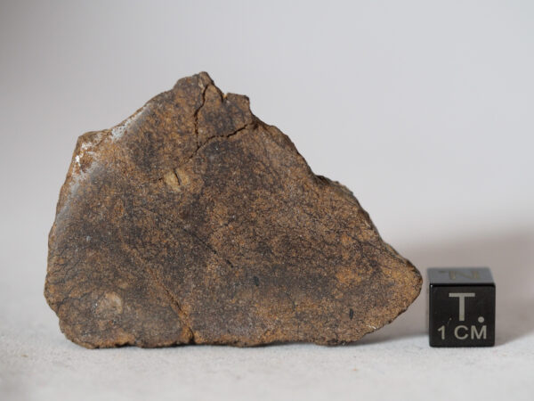 al haggounia 001 melt chondrite meteorite
