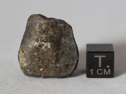 oriented chondrite meteorite