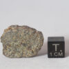 dhofar 700 diogenite achondrite meteorite