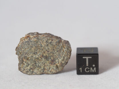 dhofar 700 diogenite achondrite meteorite