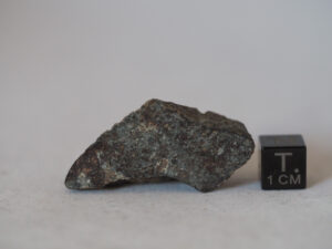 NWA 869 L3-6 chondrite meteorite