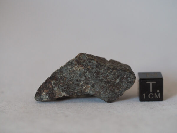 NWA 869 L3-6 chondrite meteorite