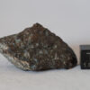 NWA 869 L3-6 chondrite meteorite