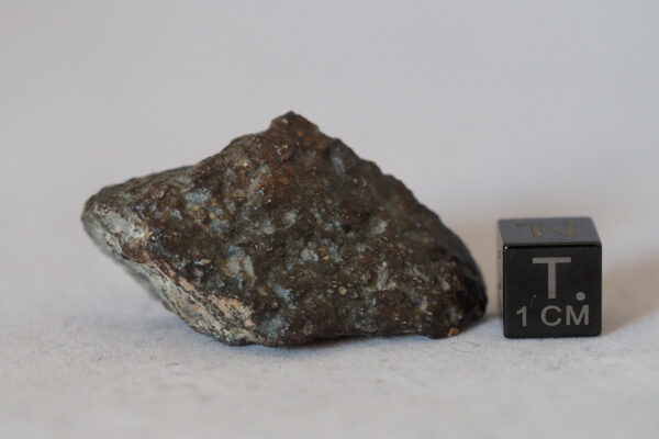 NWA 869 L3-6 chondrite meteorite