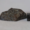 NWA 869 L3-6 chondrite meteorite