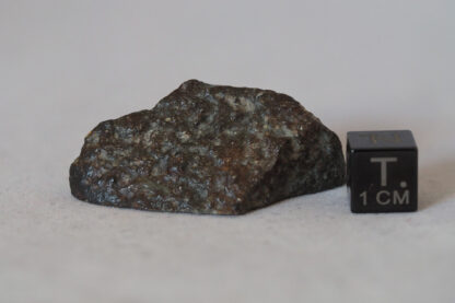 NWA 869 L3-6 chondrite meteorite