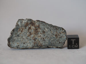 NWA 869 L3-6 chondrite meteorite