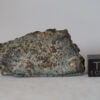 NWA 869 L3-6 chondrite meteorite