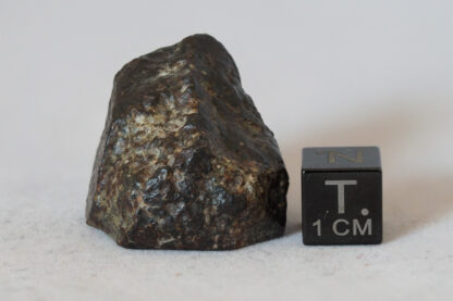 NWA 869 L3-6 chondrite meteorite