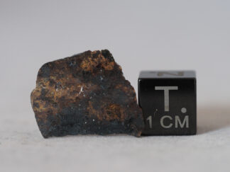 NWA 6685 lodranite meteorite