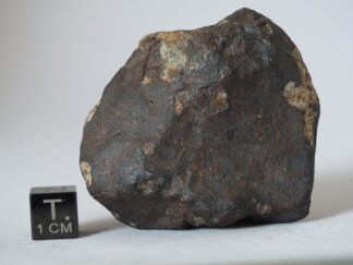 beni m'hira meteorite L6 chondrite