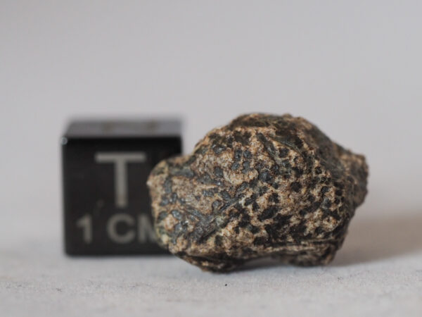 erg chech 002 meteorite ungrouped