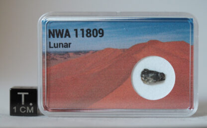 NWA 11809 lunar meteorite
