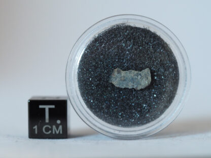 NWA 13151 LL7 chondrite meteorite