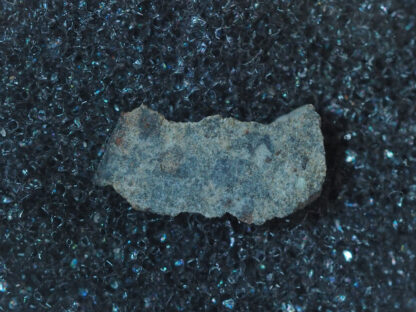 NWA 13151 LL7 chondrite meteorite
