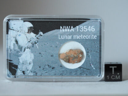 NWA 13546 moon meteorite