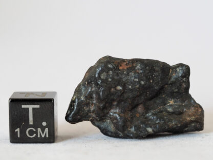 nwa 14542 R3 rumurutite meteorite