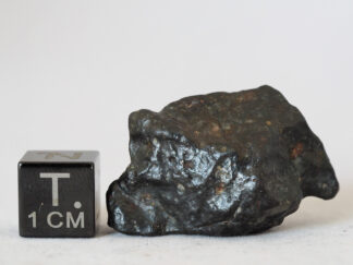 nwa 14542 R3 rumurutite meteorite