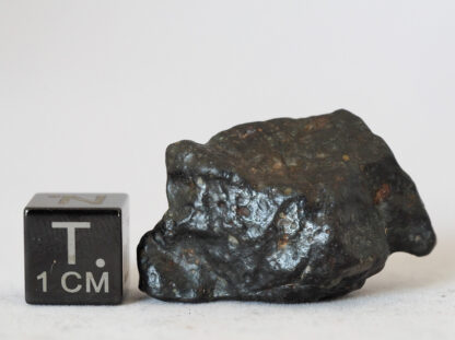 nwa 14542 R3 rumurutite meteorite