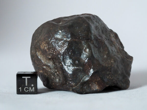 nwa 14542 R3 rumurutite meteorite