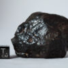 nwa 14542 R3 rumurutite meteorite
