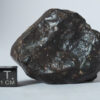 nwa 14542 R3 rumurutite meteorite