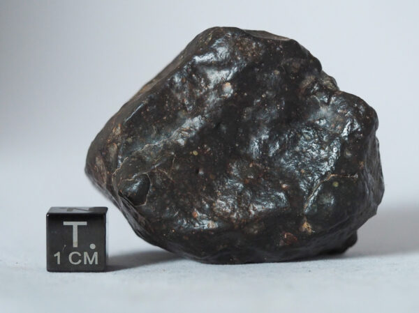 nwa 14542 R3 rumurutite meteorite