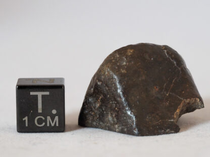 nwa 14542 R3 rumurutite meteorite