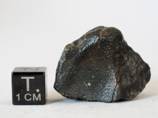 nwa 14542 R3 rumurutite meteorite