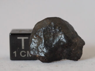 nwa 14542 R3 rumurutite meteorite
