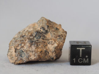 NWA 14593 meteorite (aubrite) - 17.42g