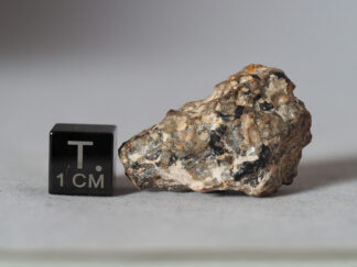 NWA 14593 meteorite aubrite