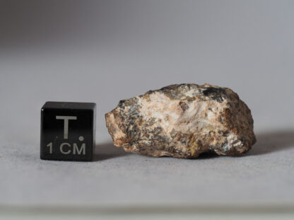 NWA 14593 meteorite aubrite