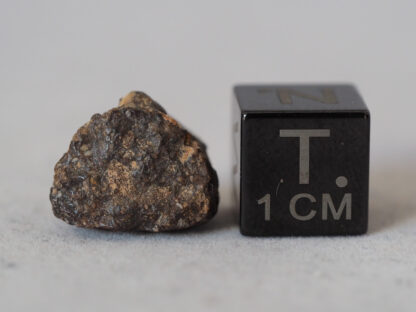 météorite NWA 5885 aubrite