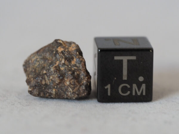météorite NWA 5885 aubrite