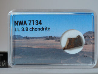 NWA 7134 LL3.8 meteorite