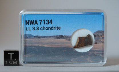 NWA 7134 LL3.8 meteorite