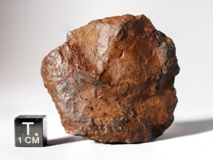 tsarev meteorite chondrite L5