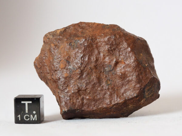 tsarev meteorite chondrite L5