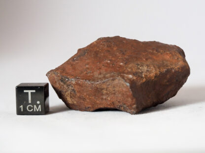 tsarev meteorite chondrite L5