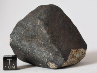 Hammadah al Hamra 346 meteorite (Ghadamis - L6) - 253g