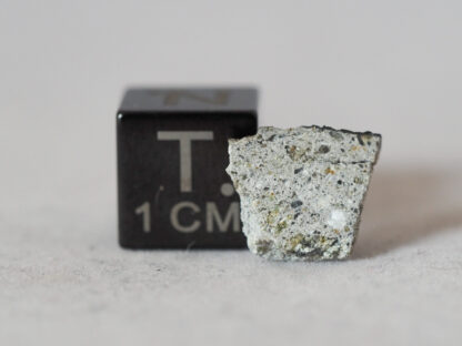 Le Teilleul meteorite (howardite) - 0.508g