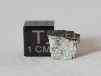 Le Teilleul meteorite (howardite) - 0.508g